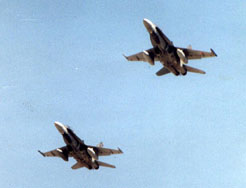 FA-18 Hornets